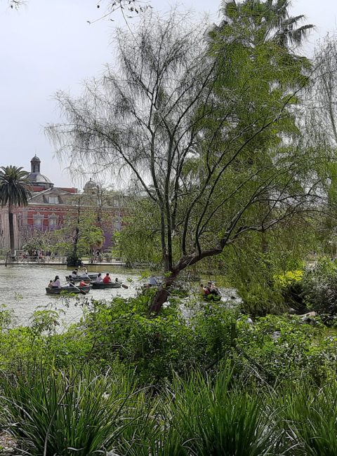 Природа в Испании