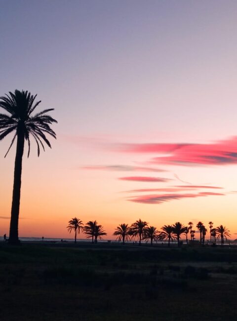 Жизнь у моря - плюсы и минусы