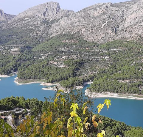 Впечатления релоканта в Испании